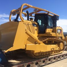 D7 Cat