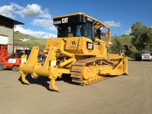 D7 Cat